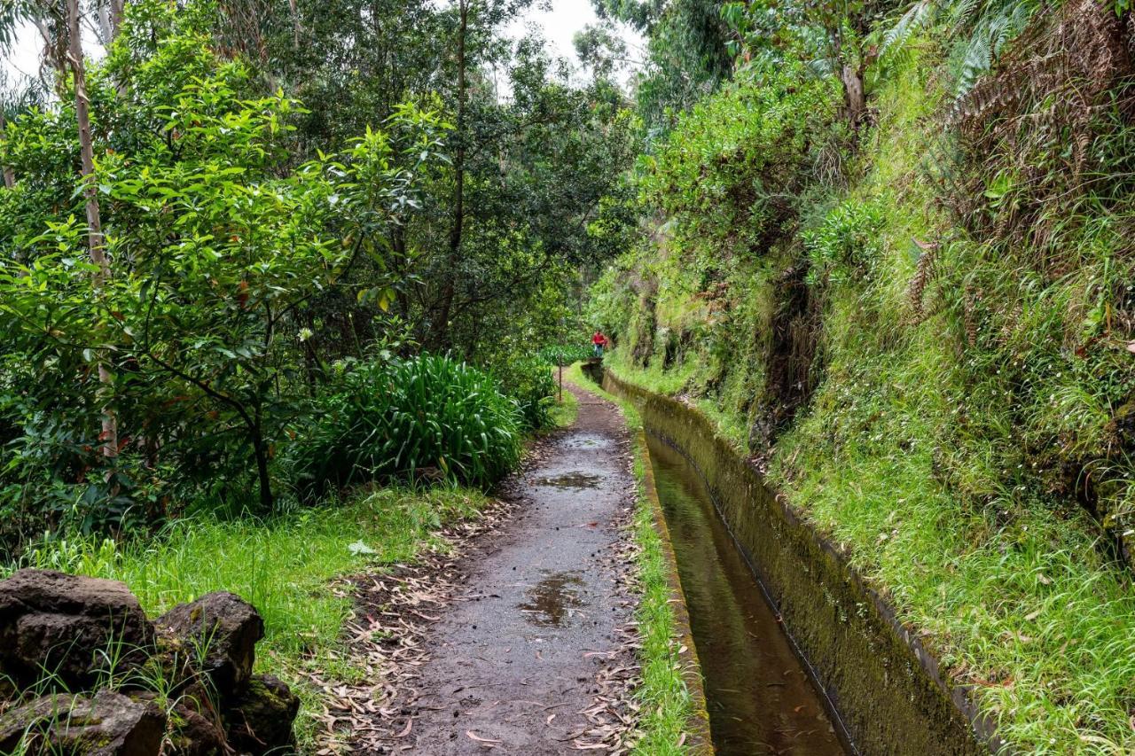 Do Monte No By Madeira Sun Travel Holiday home *